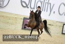 22BUCK_02014 thumbnail