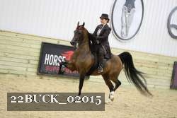 22BUCK_02015 thumbnail