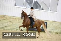 22BUCK_02041 thumbnail