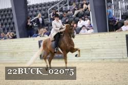 22BUCK_02075 thumbnail