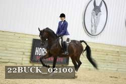 22BUCK_02100 thumbnail