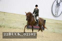 22BUCK_02102 thumbnail