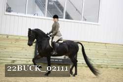 22BUCK_02111 thumbnail