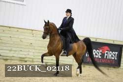 22BUCK_02118 thumbnail