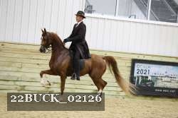 22BUCK_02126 thumbnail