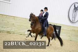 22BUCK_02132 thumbnail