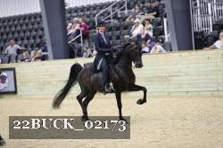 22BUCK_02173 thumbnail