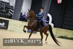 22BUCK_02175 thumbnail