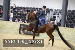 22BUCK_02181 thumbnail