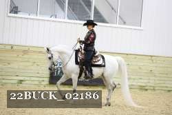 22BUCK_02186 thumbnail