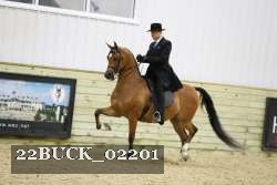 22BUCK_02201 thumbnail