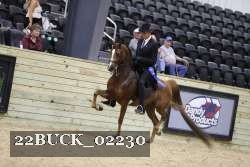 22BUCK_02230 thumbnail