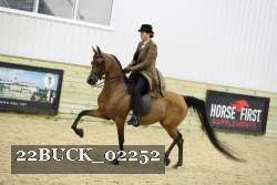 22BUCK_02252 thumbnail