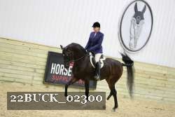 22BUCK_02300 thumbnail