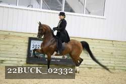 22BUCK_02332 thumbnail
