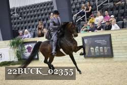 22BUCK_02355 thumbnail