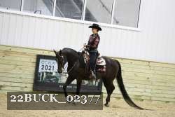 22BUCK_02377 thumbnail