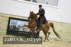 22BUCK_02396 thumbnail