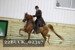 22BUCK_02397 thumbnail