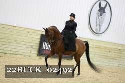 22BUCK_02492 thumbnail
