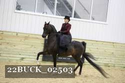 22BUCK_02503 thumbnail