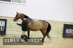 22BUCK_02537 thumbnail