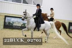 22BUCK_02701 thumbnail