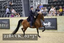 22BUCK_02737 thumbnail