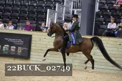 22BUCK_02749 thumbnail