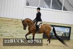 22BUCK_02761 thumbnail