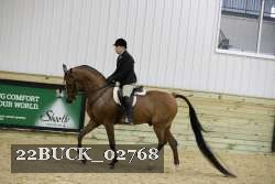 22BUCK_02768 thumbnail