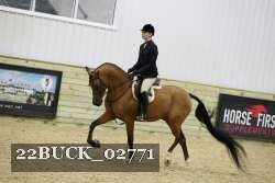 22BUCK_02771 thumbnail