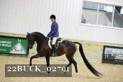 22BUCK_02791 thumbnail