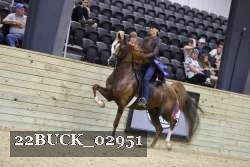 22BUCK_02951 thumbnail