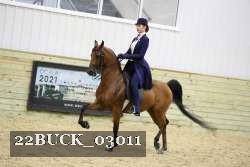 22BUCK_03011 thumbnail