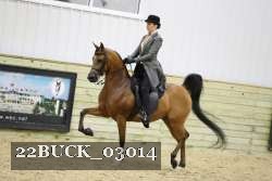 22BUCK_03014 thumbnail