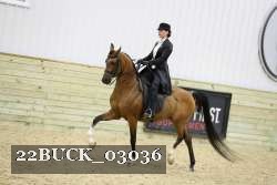 22BUCK_03036 thumbnail