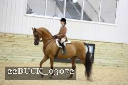 22BUCK_03072 thumbnail