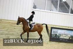 22BUCK_03106 thumbnail