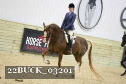 22BUCK_03201 thumbnail