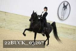 22BUCK_03267 thumbnail