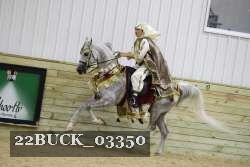 22BUCK_03350 thumbnail