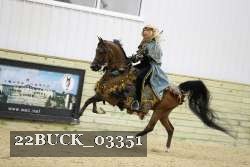 22BUCK_03351 thumbnail