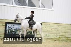 22BUCK_03667 thumbnail