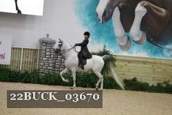 22BUCK_03670 thumbnail