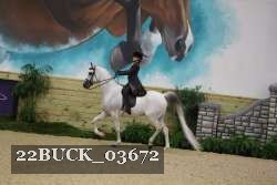 22BUCK_03672 thumbnail