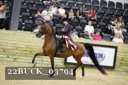 22BUCK_03794 thumbnail