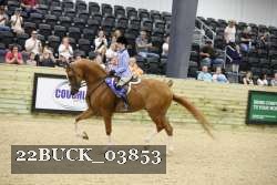 22BUCK_03853 thumbnail