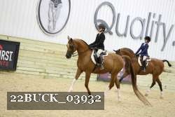 22BUCK_03932 thumbnail