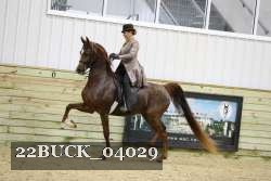 22BUCK_04029 thumbnail